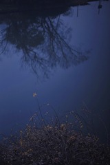 0C438434-5AB5-490F-ABE7-D4AFF7FD9FF0/L0/001