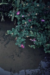 19AF561D-D171-4AE5-9328-FF337B09284E/L0/001
