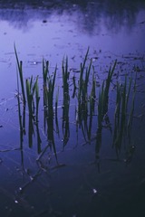 8824C7A1-6C44-4724-83DD-EB0AB9D46C9A/L0/001