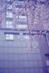 39B28E78-72FF-4801-8434-76430C91CF14/L0/001
