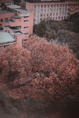0A5C19AA-2F8E-4D86-8331-B4F3ECD71DC6/L0/001
