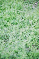 96664D83-8E1B-4237-B0A0-BA0DAFDAC973/L0/001
