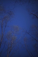 744D57D6-96FC-4A94-BE19-C878D85D2662/L0/001
