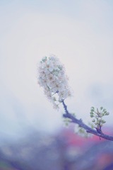 FC3ADAE5-6753-4852-8A2D-FF0B0C133F95/L0/001