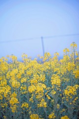 0DCB7B30-20E1-4794-8B7D-F98B660BCF9A/L0/001