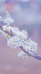 32786E54-5AE1-48F1-9354-06E33731D5DC/L0/001