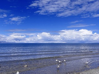 71F200FA-F21E-4EC8-91F5-A0314718C0DA/L0/001