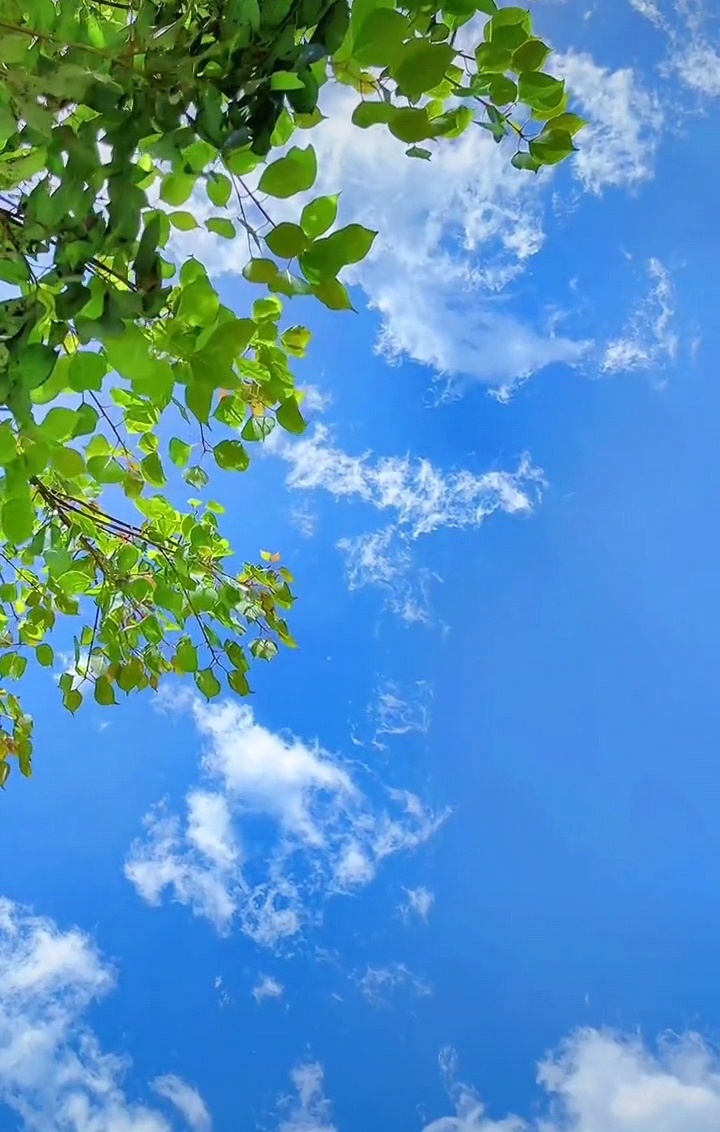 好的天气空气都是甜的