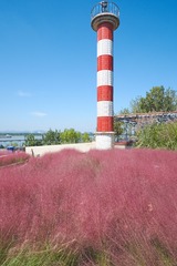 3654250
