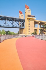 3646773