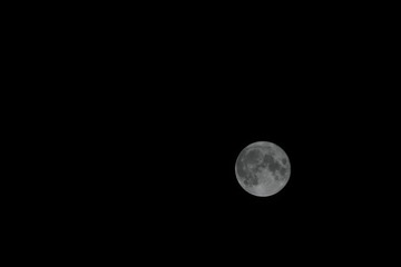 A90913D7-7E50-469C-AB31-B9AD6331FA24/L0/001