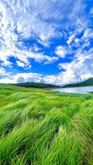 B21C7D19-302C-4F19-BA3E-A2A586417B6B/L0/001