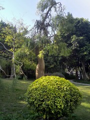 0CE6E6AD-F7AB-41E5-8B99-E99459595B45/L0/001