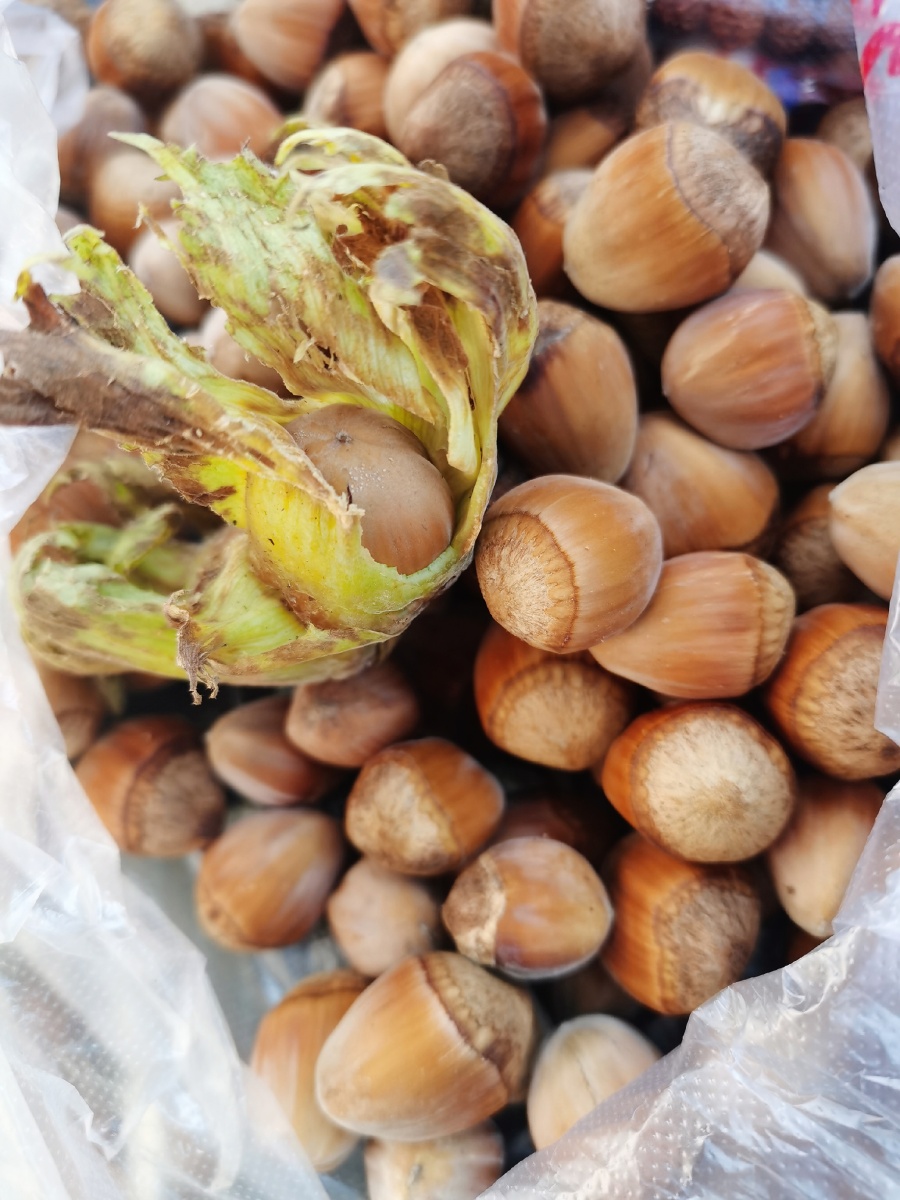 这是在永宁古城买的鲜榛子口感跟生杏仁差不多第一次见到带皮鲜榛子是