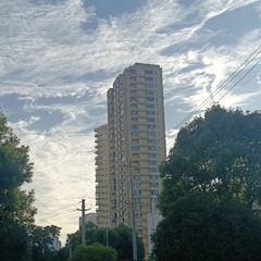 221