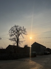 CD6635F1-A425-4357-BE45-48D49320C8DE/L0/001