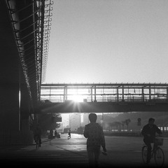 Image8.jpg