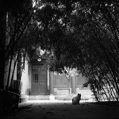 Image28.jpg