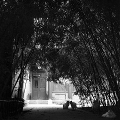 Image29.jpg