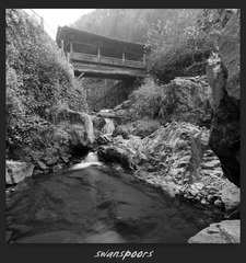 Image8-small.jpg