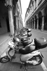 Università di Bologna 5