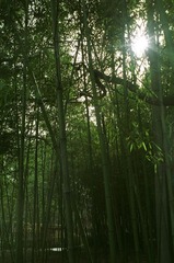 临湖轩