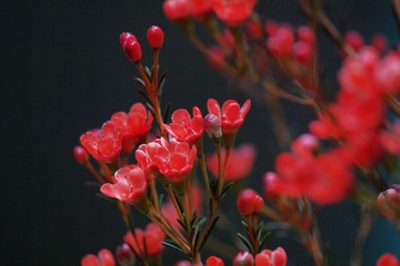 9A370EED-C0FA-4344-916E-E6B9A9DD7C60/L0/001