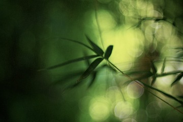 7A0D6A1C-7C08-4474-88F0-C56A95B74BC0/L0/001