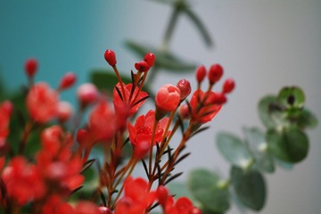 5566D7A8-ADCB-4A63-9F3B-067E4E1CD488/L0/001