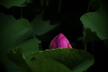 2FAA3D8C-3433-4BEE-B9D5-B7B22219020E/L0/001