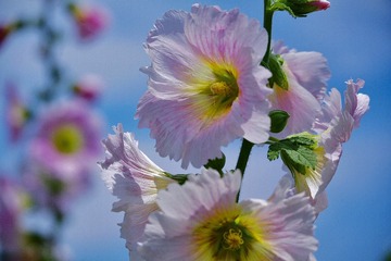9709C326-5B2A-40AA-B341-C73F3FA43A76/L0/001