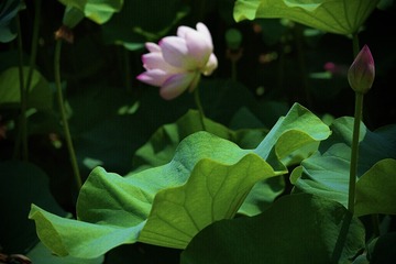 3CCCD54B-E6CC-4B62-A2D8-FAE1C3808CD8/L0/001