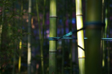 9F4A632A-41FC-4F56-A603-4AB3E7664113/L0/001