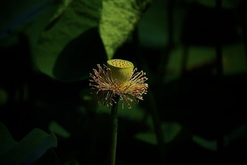 97D3E30E-04BB-430C-AE32-8A06CCFF785D/L0/001