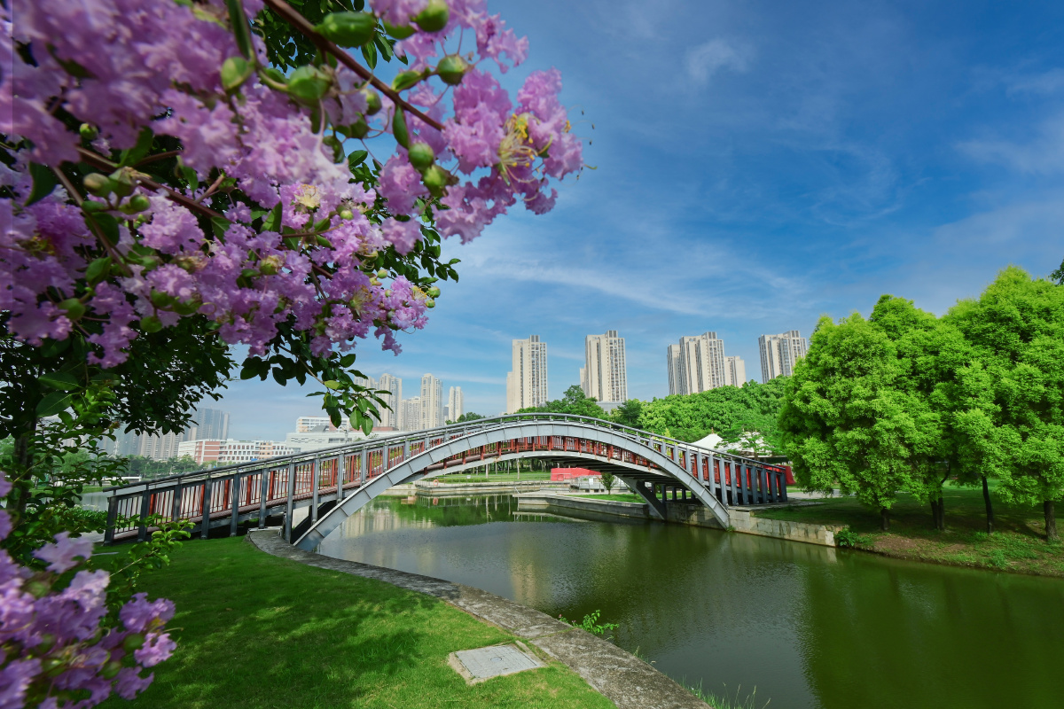 深圳市坪山中心公园拍照风景美如画