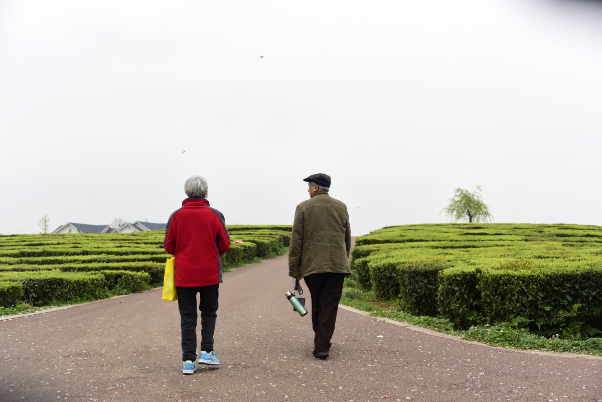 健身路上相伴前行老年人背景公园乡村