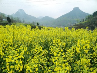 1A22C595-5E0A-4376-8D3C-D369B535BD94/L0/001