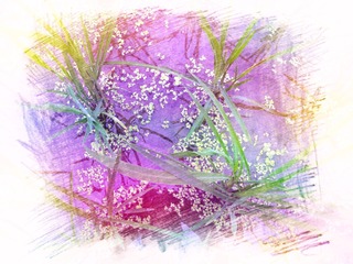 AE6BA432-B6F6-4C50-A485-A0ABE5313146/L0/001