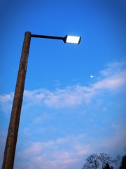 876D2A4A-B1B2-448F-A004-21A46047C22B/L0/001