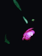 19763900-0B75-48A1-8C08-9BB0C7EAA766/L0/001