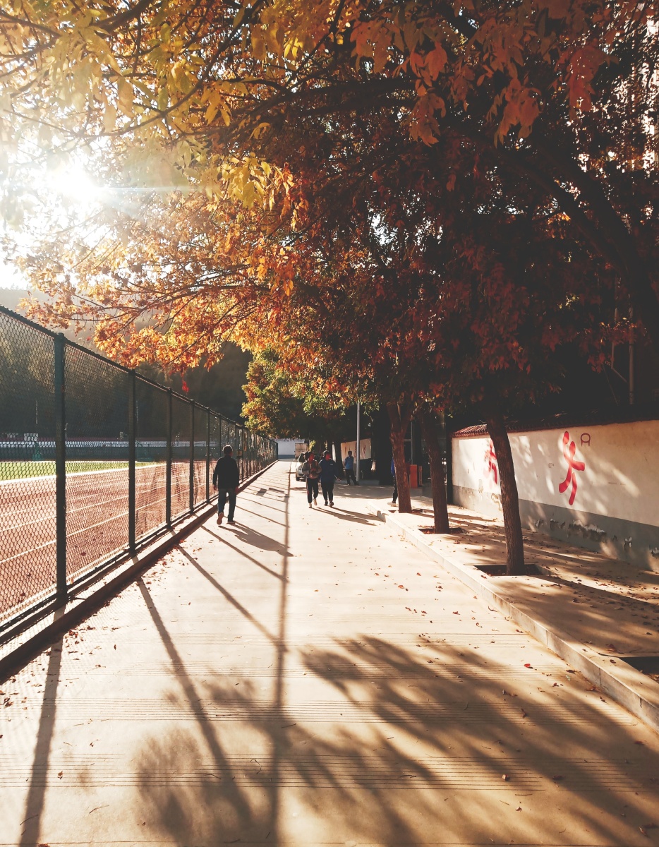 秋天的校园是这个毕业季最美好的礼物79