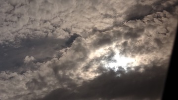1312299