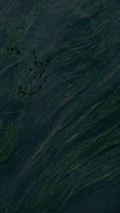 43D3179A-D79B-42EB-87F2-C891494E1DCB/L0/001