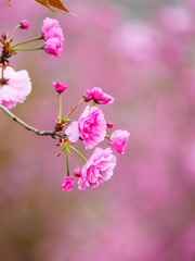 21AE150F-68BB-4A30-AB32-7516BC47303D/L0/001