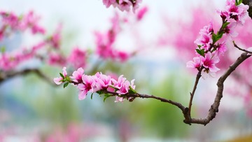 A79C7FB9-A587-44B9-BA88-4BA887CC2A24/L0/001