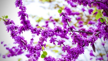 F50CF878-1370-4F62-99BF-8735E90FC711/L0/001