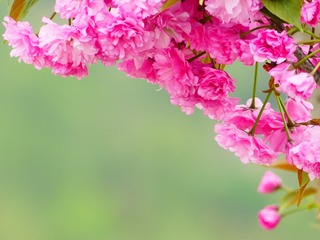 7E823CD5-93E0-4F28-B364-DBFA7E89287D/L0/001