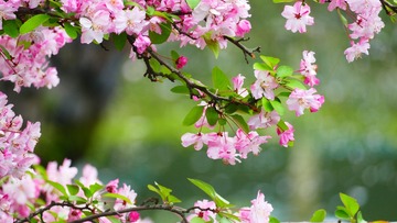 95056AE9-E168-4C5A-A87E-C57EBD22EC01/L0/001