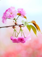 091F0326-51C0-4B15-855F-7F1F9965E7C2/L0/001