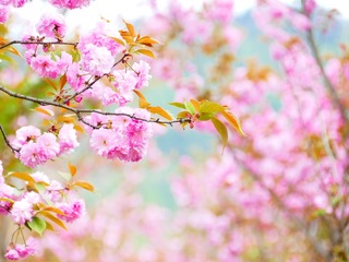 36D1901A-1B7A-4702-8BC4-502817CE40B2/L0/001